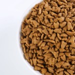 干犬粮厂家-工厂热销代工贴牌批量宠物食品可定制