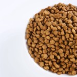 宠物食品供应商-代工贴牌中国低价多种口味18%-32%蛋白