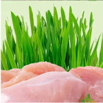 冻干食品厂家-代工贴牌天然冻干生鲜鸡肉猫草