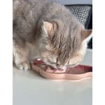 宠物湿粮供应商-代工工厂高品质85克袋全英文包装猫