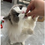 猫零食工厂-高蛋白健康冻干猫零食猫草谷物