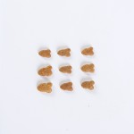 猫干粮供应商-免费样品有竞争力价格高蛋白低脂全年龄段