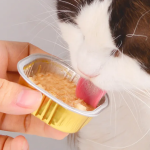 猫狗零食工厂-代工定制湿罐头零食100克肉汤宠物食品