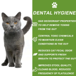 猫补充剂工厂-支持皮肤健康消化健康Omega-3脂肪酸