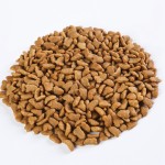 猫干粮供应商-免费样品有竞争力价格高蛋白低脂全年龄段