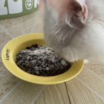 洁牙粉厂家-洁牙粉犬牙清洁牙菌斑口臭配方