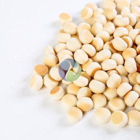 宠物咀嚼物工厂-批发高营养犬咀嚼食品牛奶小馒头