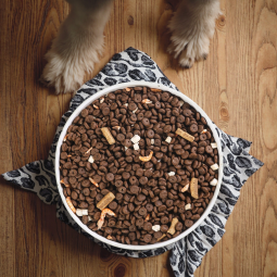 干犬粮工厂-热销代工贴牌批量宠物食品可定制干犬粮