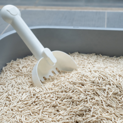 猫砂工厂-2025BSCI工厂批发定制天然植物控味