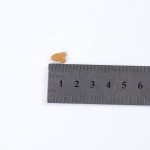 宠物零食供应商-NUOPU工厂直供低成本批发猫粮