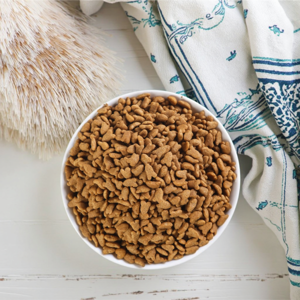 干犬粮厂家-工厂热销代工贴牌批量宠物食品可定制