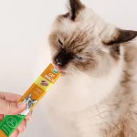 猫零食工厂-OEM ODM可舔湿肉条