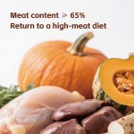 猫食生产厂家-OEM ODM全价粮皮肤支持