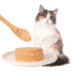 罐头猫食工厂-批发170克柔软高蛋白