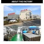 宠物补充剂供应商-中国产品益生菌先进动物饲料营养