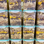 狗零食生产厂家-无添加剂天然压骨