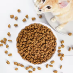 冻干宠物食品供应商-生骨肉猫狗零食