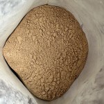 植物肥料供应商-巨大芽孢杆菌粉溶解磷营养