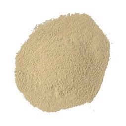 赛鸽用品供应商-益生菌粉增强免疫力肠道健康