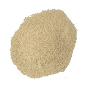 赛鸽用品供应商-益生菌粉增强免疫力肠道健康