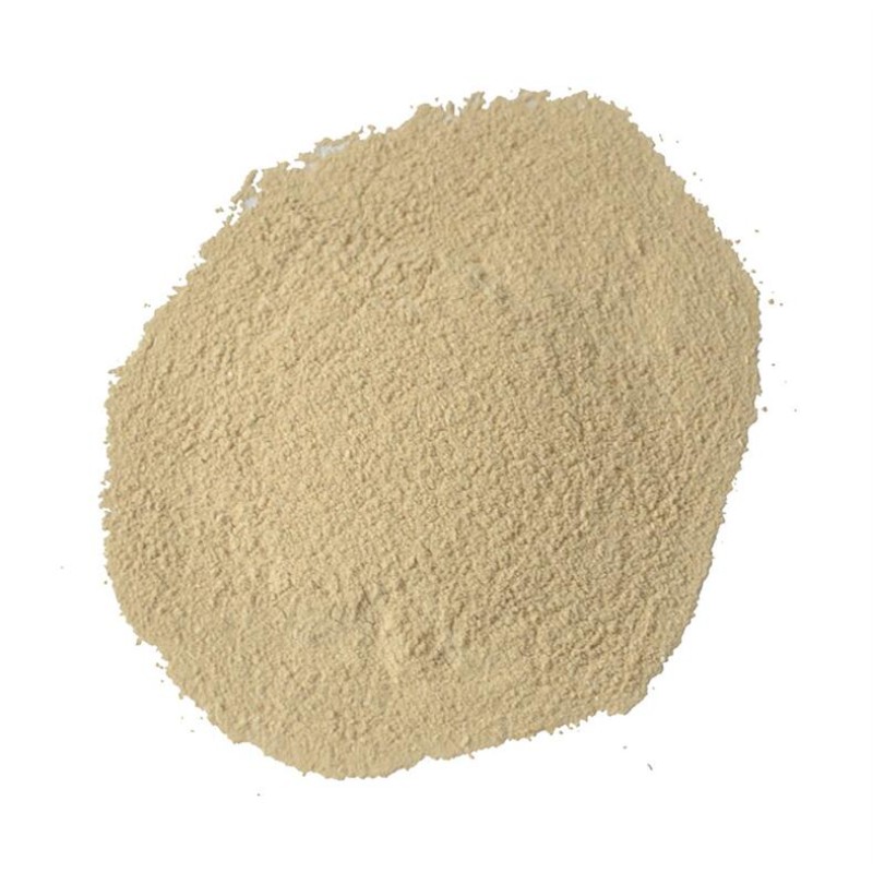 赛鸽用品供应商-益生菌粉增强免疫力肠道健康