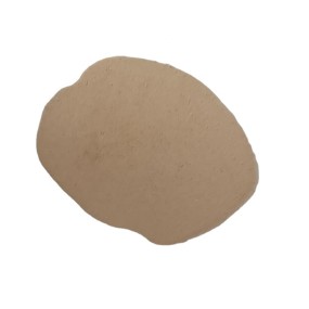 Poultry Probiotics Manufacturer - Lactobacillus Casei Candida Utilis Powder Layer Chicken