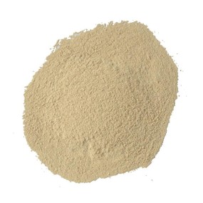 兽用益生菌工厂-益生菌粉用于赛鸽免疫增强