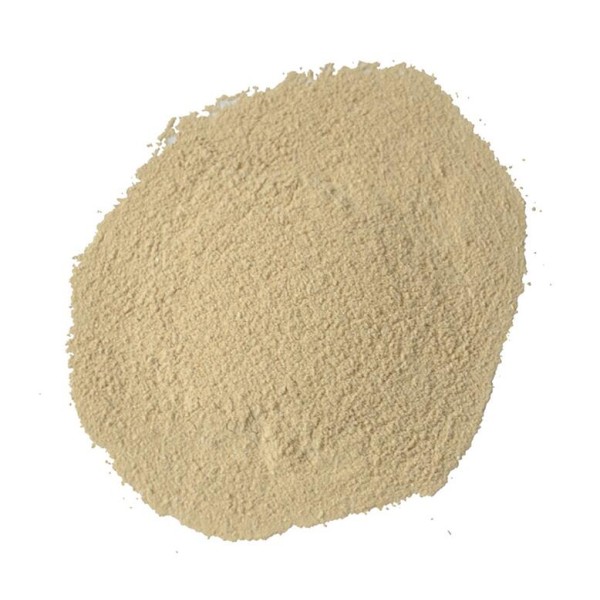 兽用益生菌工厂-益生菌粉用于赛鸽免疫增强