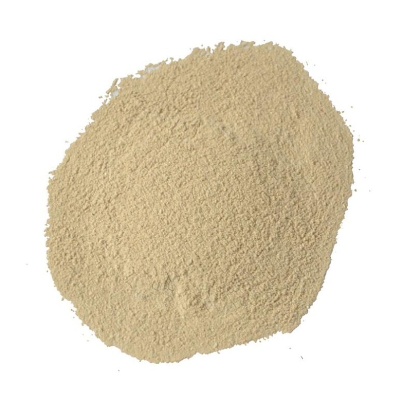 兽用益生菌工厂-益生菌粉用于赛鸽免疫增强