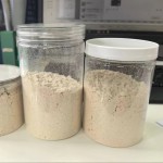 Chicken Powder Manufacturer - Perfect Quality Freeze Dried