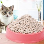 Cat Litter Supplier - OEM Factory Bentonite Strong Clumping