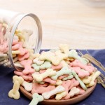 狗零食生产厂家-优质天然训练有机