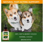 Pet Health Drops Manufacturer - Cross-Border Supply Specific Health Drops Factory Direct