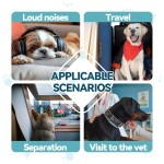 Pet Melatonin Drops Supplier - Foreign Trade Supply Specific Melatonin Drops for Pets