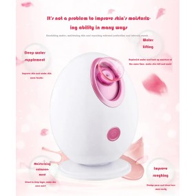 Personal Care Steamer Factory - Hot Selling Model 90ML 300W Adjustable Nozzle