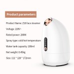 Facial Steamer Factory - Personal Care Hot Cold Steam Hydrating Nourishing