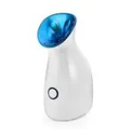 Facial Steamer Supplier - Dual Voltage Fast Heating Nano Sprayer Nourishing