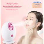 Personal Care Steamer Factory - Hot Selling Model 90ML 300W Adjustable Nozzle