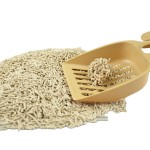 Tofu Cat Litter Supplier - Ecological Sand 50kg Wholesale