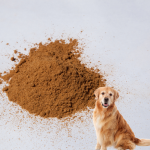 Cat Food Palatant Factory - Hydrolyzed Chicken Liver Flavor