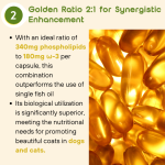 Pet Supplement Manufacturer - Fish Oil Skin Coat EPA DHA