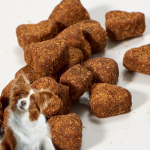 Pet Supplement Manufacturer - Multifunctional Dog Vitamins