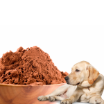 Dog Kibble Additive Supplier - Chicken Flavor Palatability