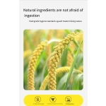 Tofu Cat Litter Supplier - New Product 6L Super Absorbent