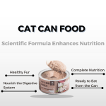 Wet Cat Food Manufacturer - High Protein Grain-Free 400g OEM