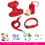 Dog Collar Set Supplier - Customizable Eco-Friendly Metal Buckle Collar Harness Leash Set