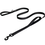 Pet Leashes Supplier - Professional Nylon Training Jogging Running Durable Hands-Free Double Reflective