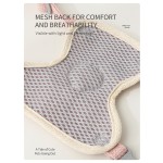 Pet Harness Set Factory - Manufacturer Straight Pet Dog Safety Harness Leash Set Wholesale