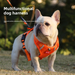 Pet Feeder Factory - Hot Sale Double Bowl Automatic Cat Dog Food Water Dispenser Factory Customized