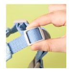 Pet Harness Set Manufacturer - Low Price Wholesale Color Safe Secure Dog Walking Tool Leash Set